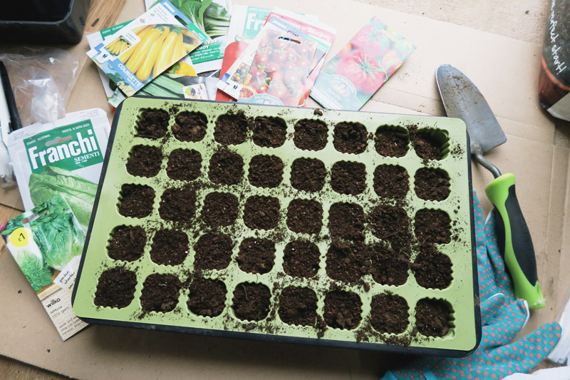 Vegetable Garden, Sowing Seeds