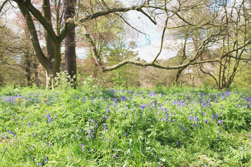 Kew Botanical Gardens, London