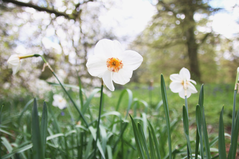 Kew Botanical Gardens, London