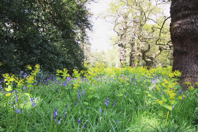 Kew Botanical Gardens, London