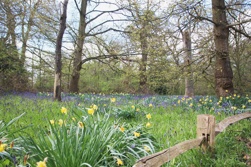 Kew Botanical Gardens, London