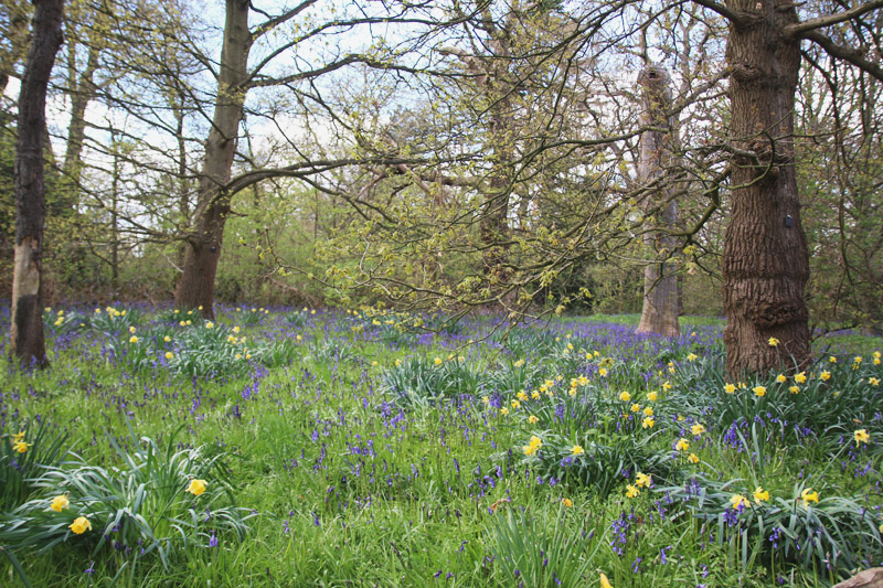 Kew Botanical Gardens, London