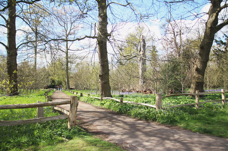 Kew Botanical Gardens, London