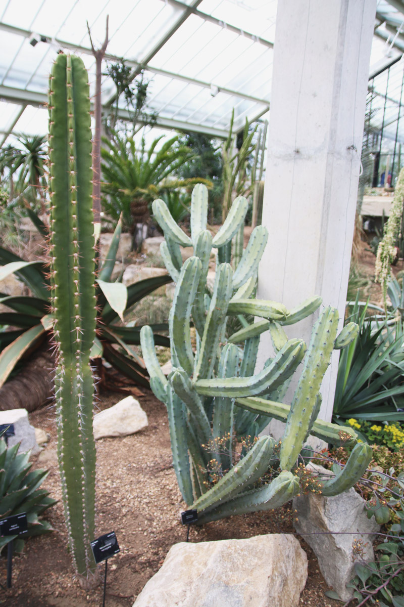 Kew Botanical Gardens, London