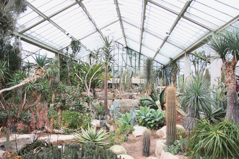 Kew Botanical Gardens, London