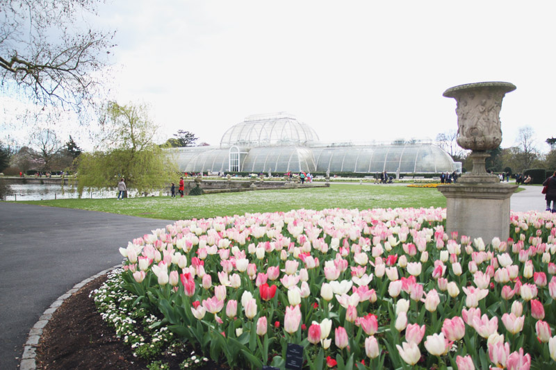 Kew Botanical Gardens, London