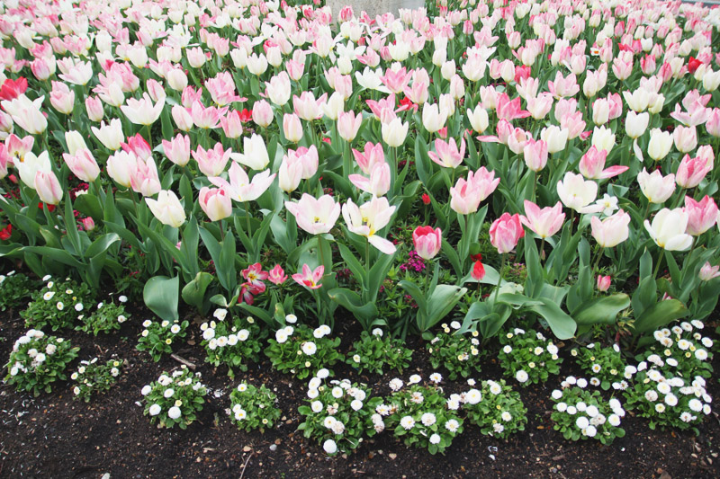 Kew Botanical Gardens, London