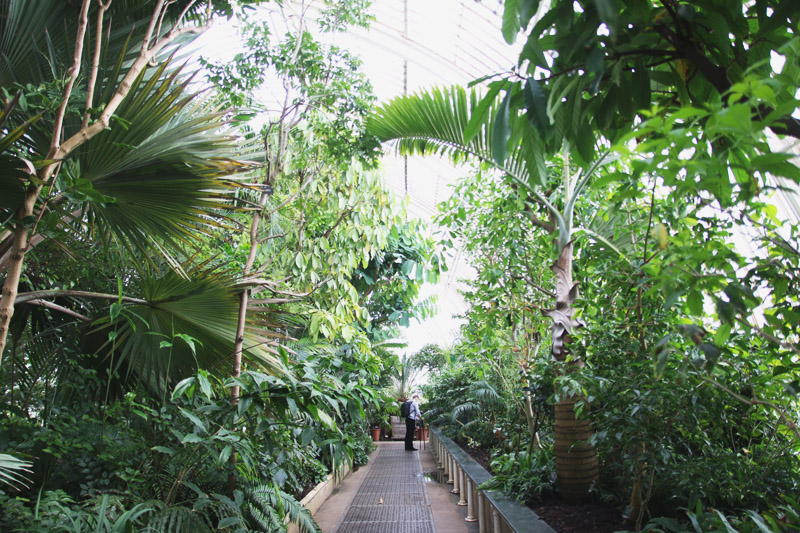 Kew Botanical Gardens, London