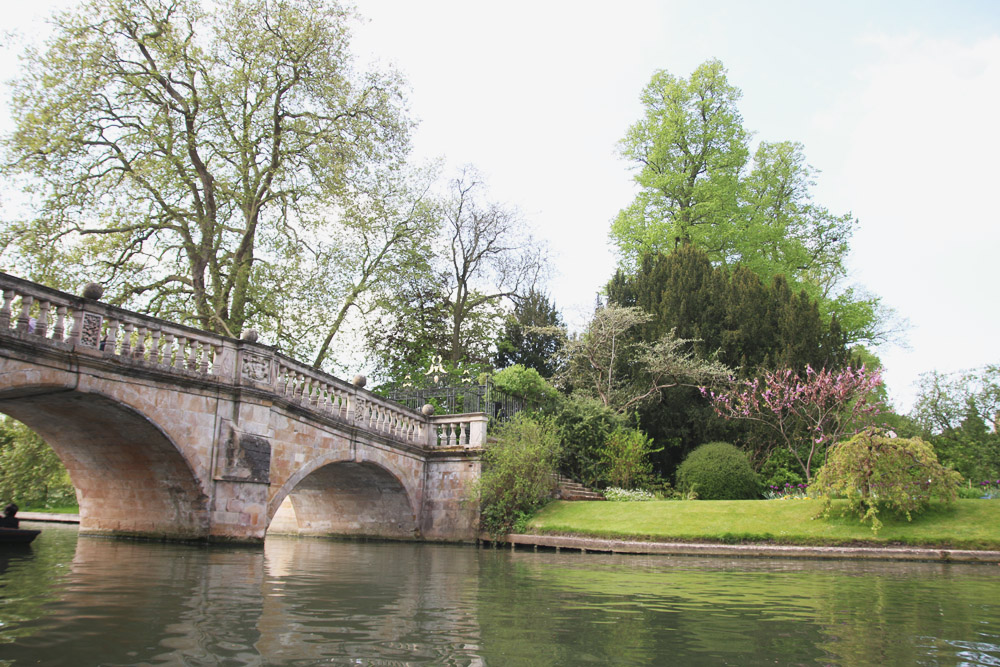 Punts in Cambridge