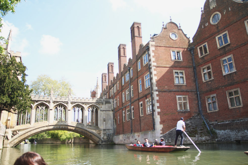 Punts in Cambridge