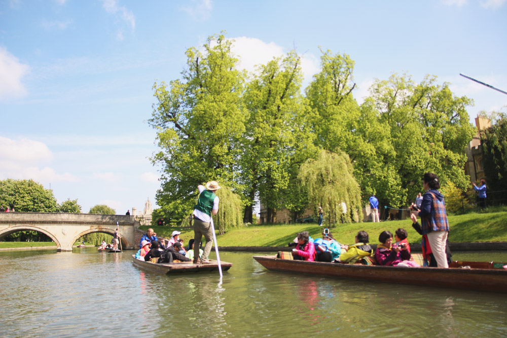 Punts in Cambridge