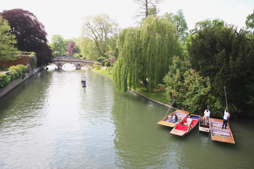 Punts in Cambridge