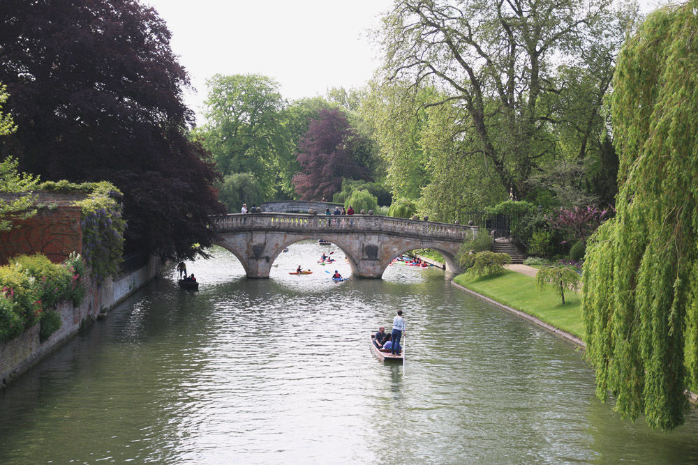 Punts in Cambridge