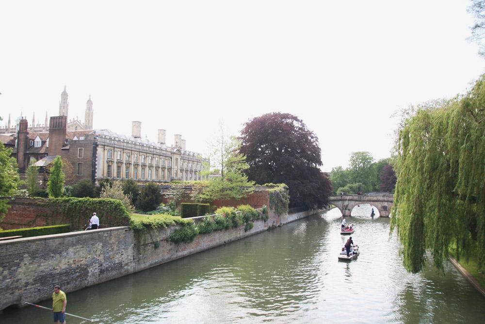 Punts in Cambridge