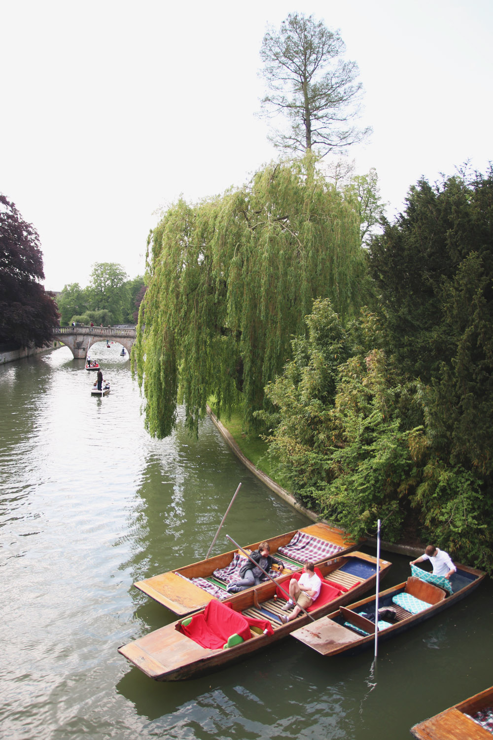 Punts in Cambridge