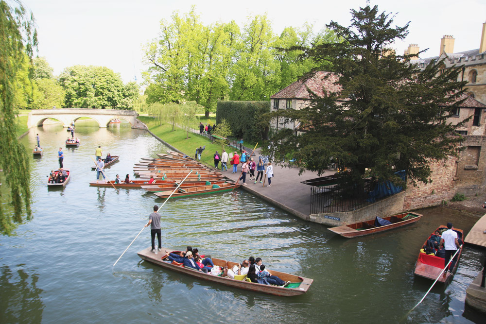 Punts in Cambridge