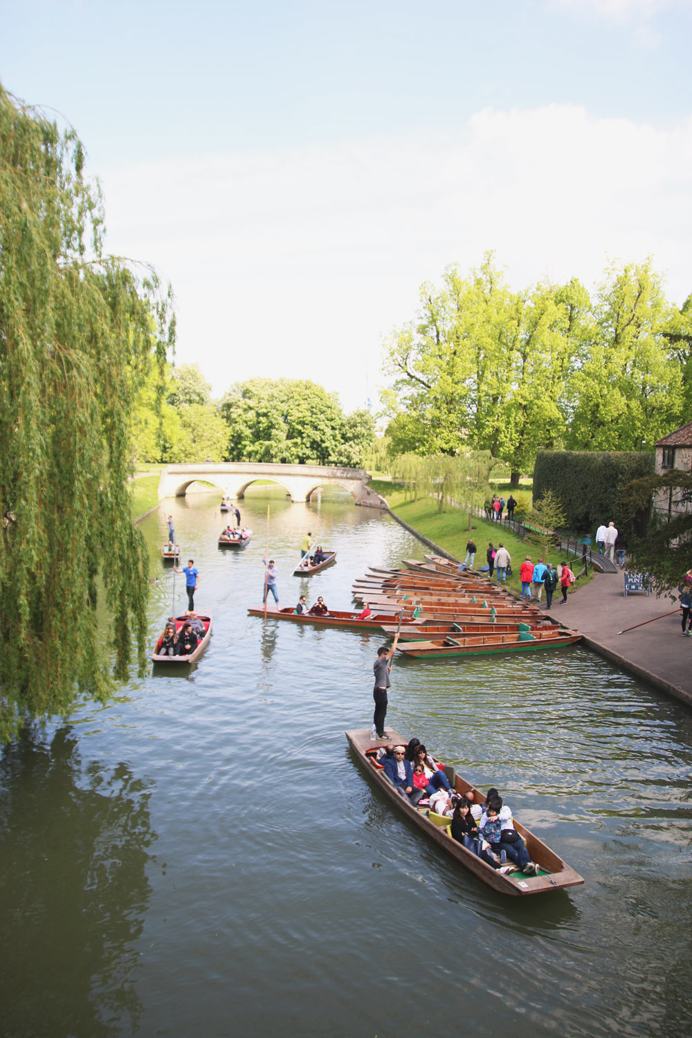 Punts in Cambridge