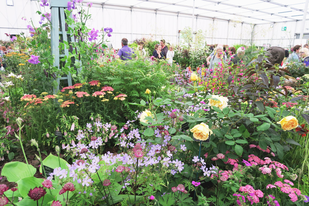 Gardeners' World Live 2016 Floral Marquee