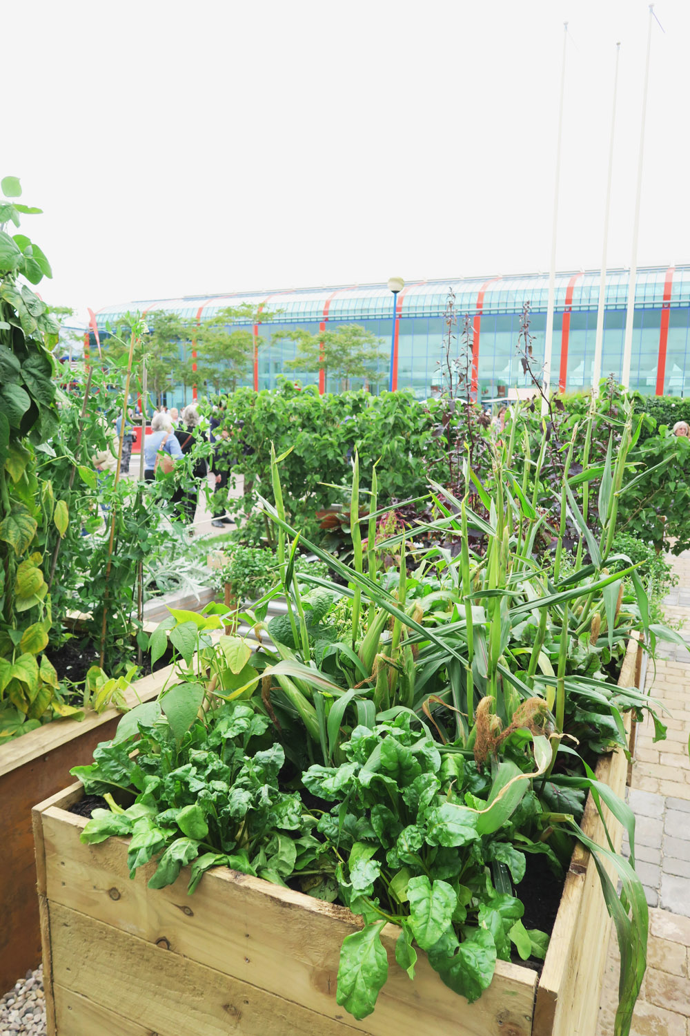 Gardeners' World Live 2016 Floral Marquee