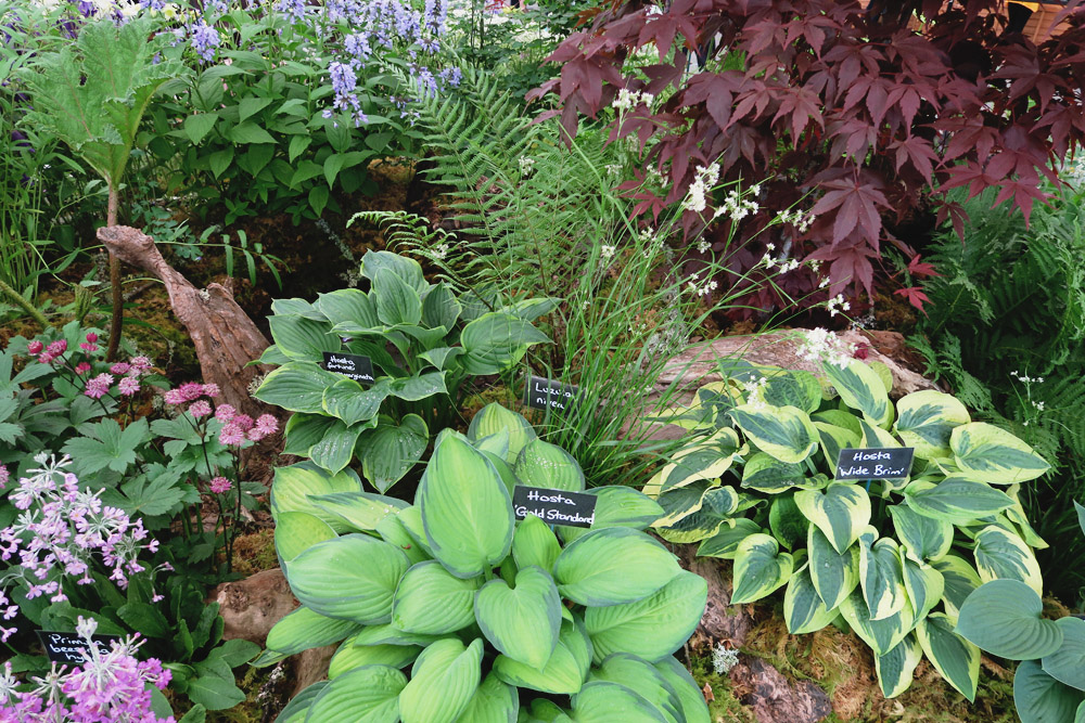 Gardeners' World Live 2016 Floral Marquee