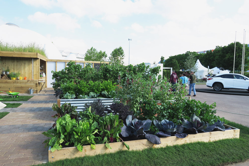 Gardeners' World Live 2016 Floral Marquee