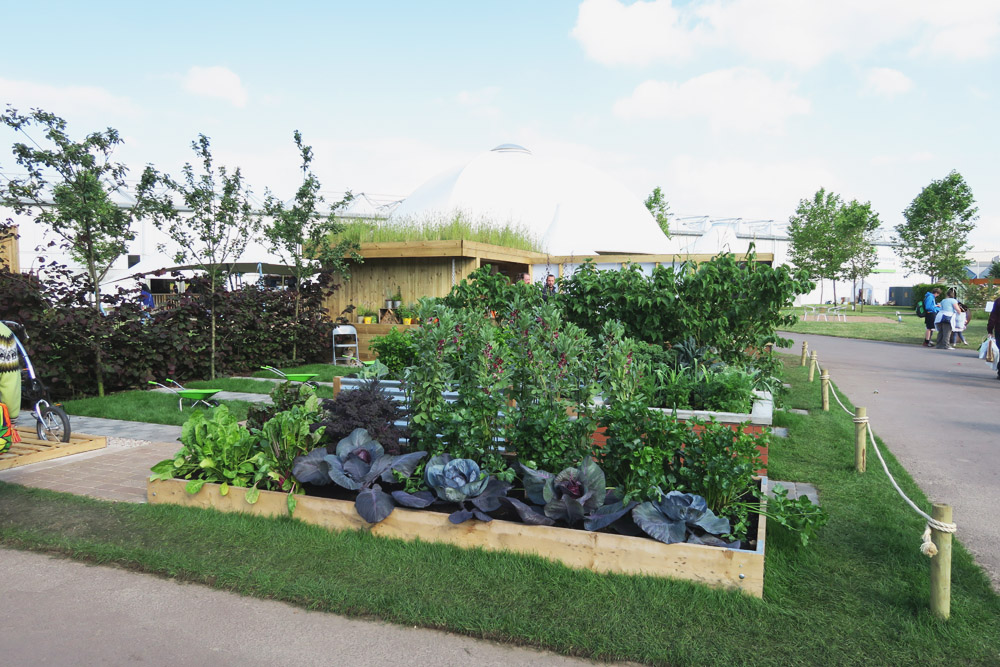 Gardeners' World Live 2016 Floral Marquee