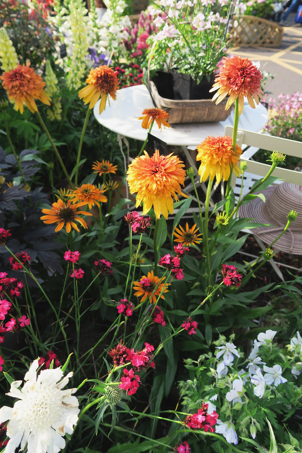 Gardeners' World Live 2016 Floral Marquee