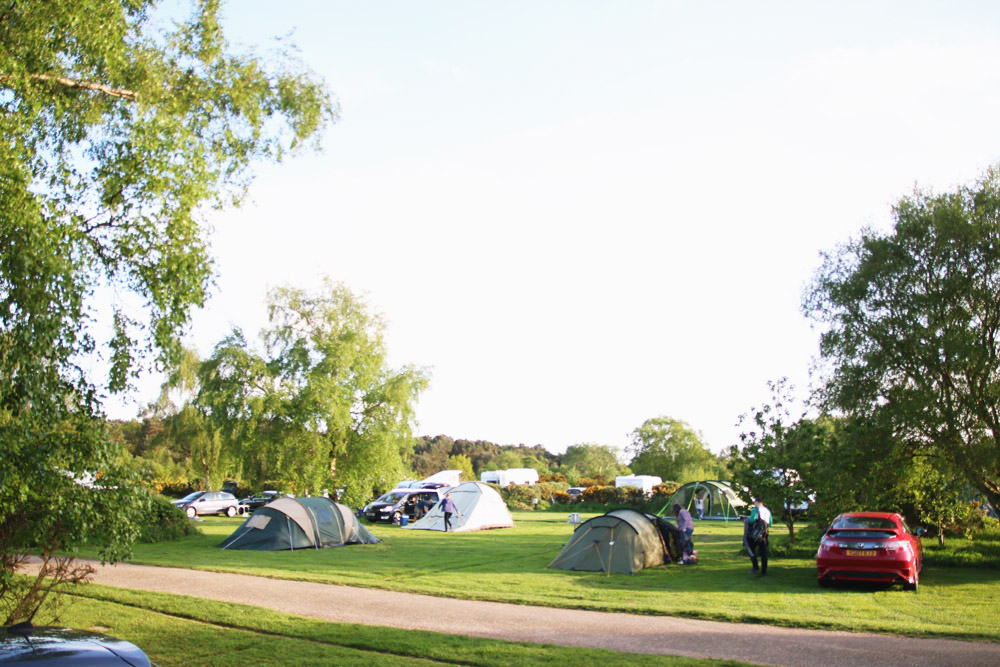 Kelling Heath Campsite