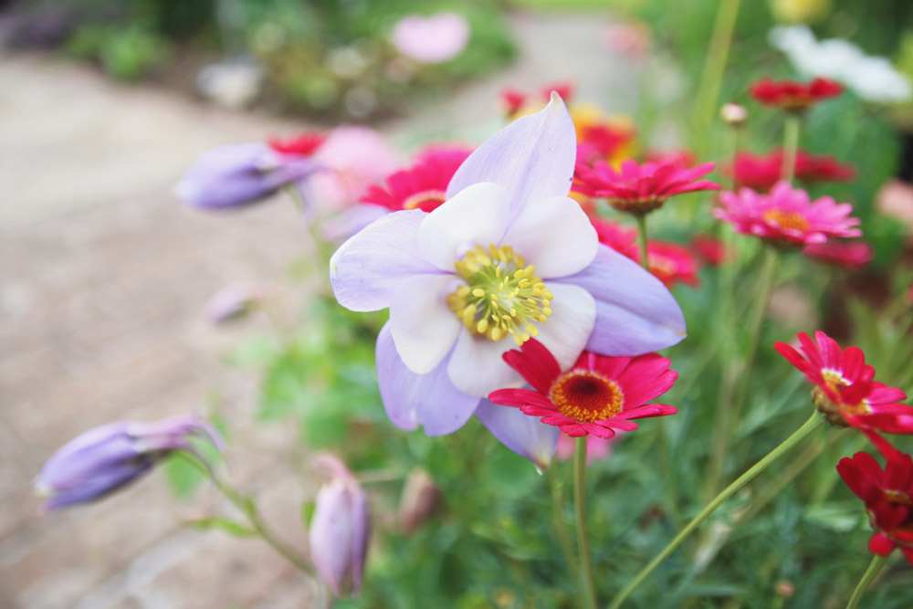 Flower Haul