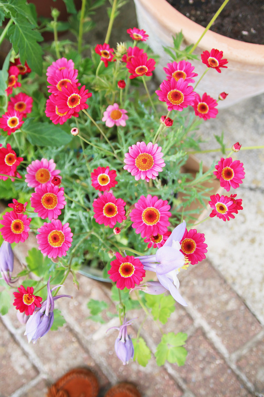 Flower Haul