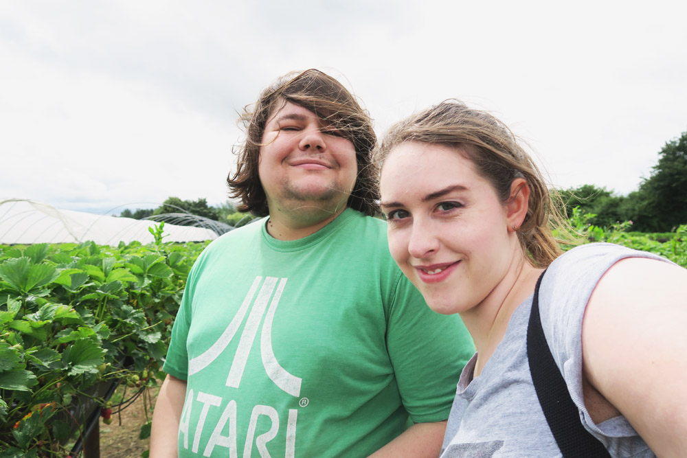 Strawberry Picking