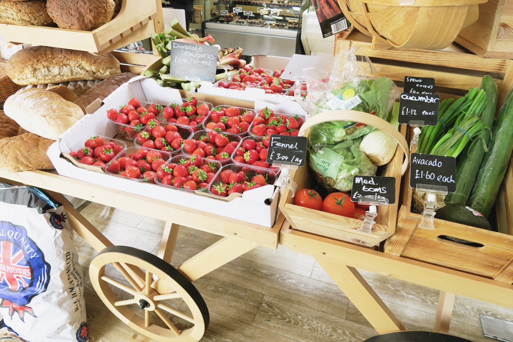 Strawberry Picking