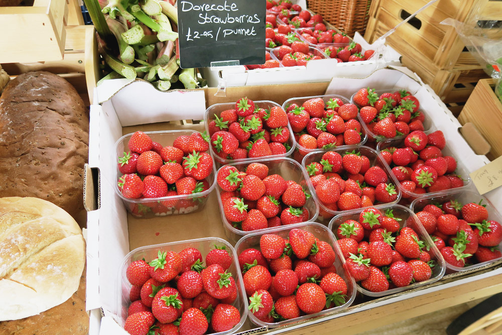 Strawberry Picking