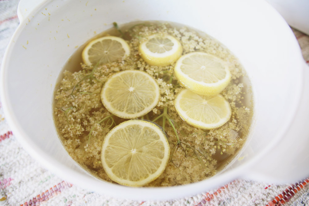 Elderflower Cordial Recipe