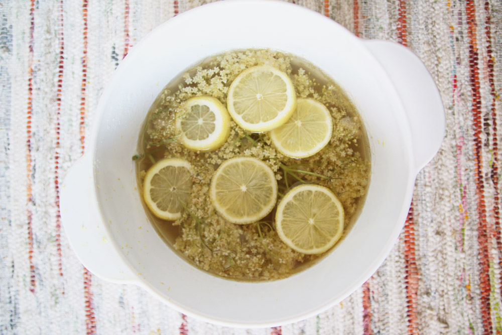 Elderflower Cordial Recipe