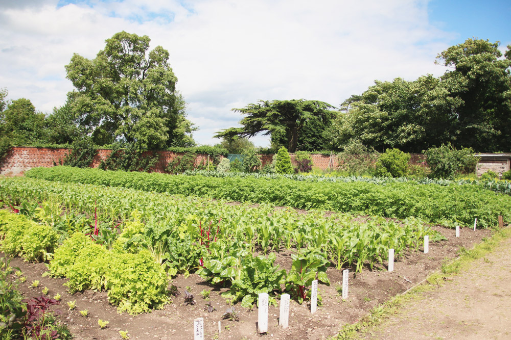 Doddington Hall & Gardens