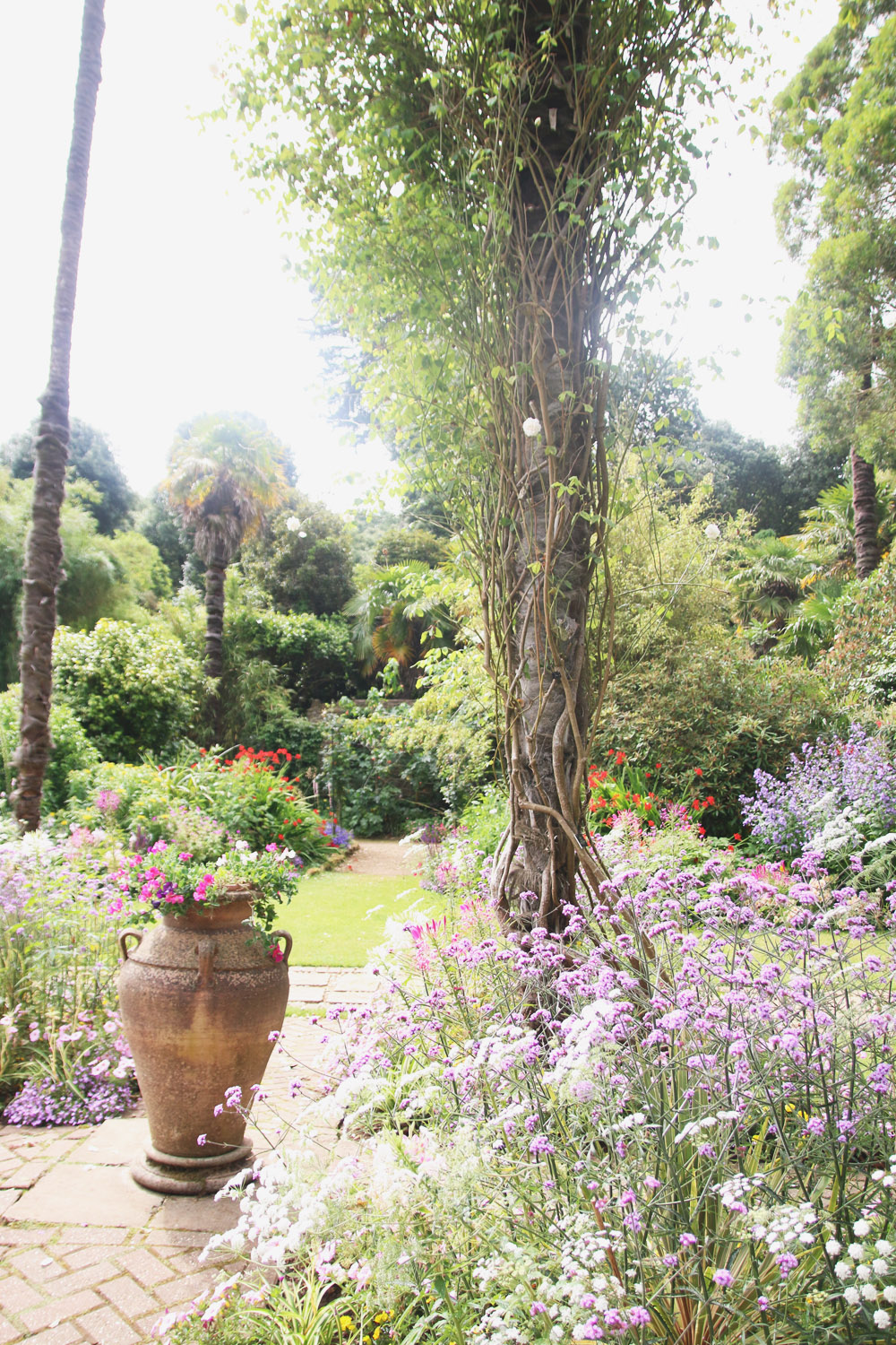 Abbotsbury Subtropical Gardens. Dorset