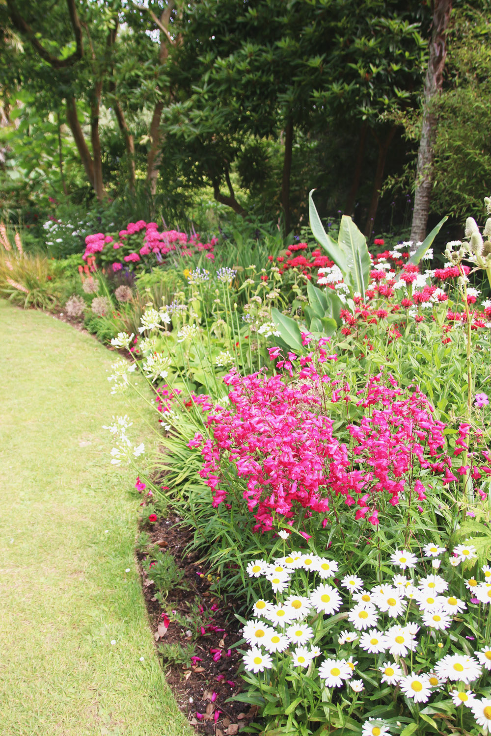 Abbotsbury Subtropical Gardens. Dorset