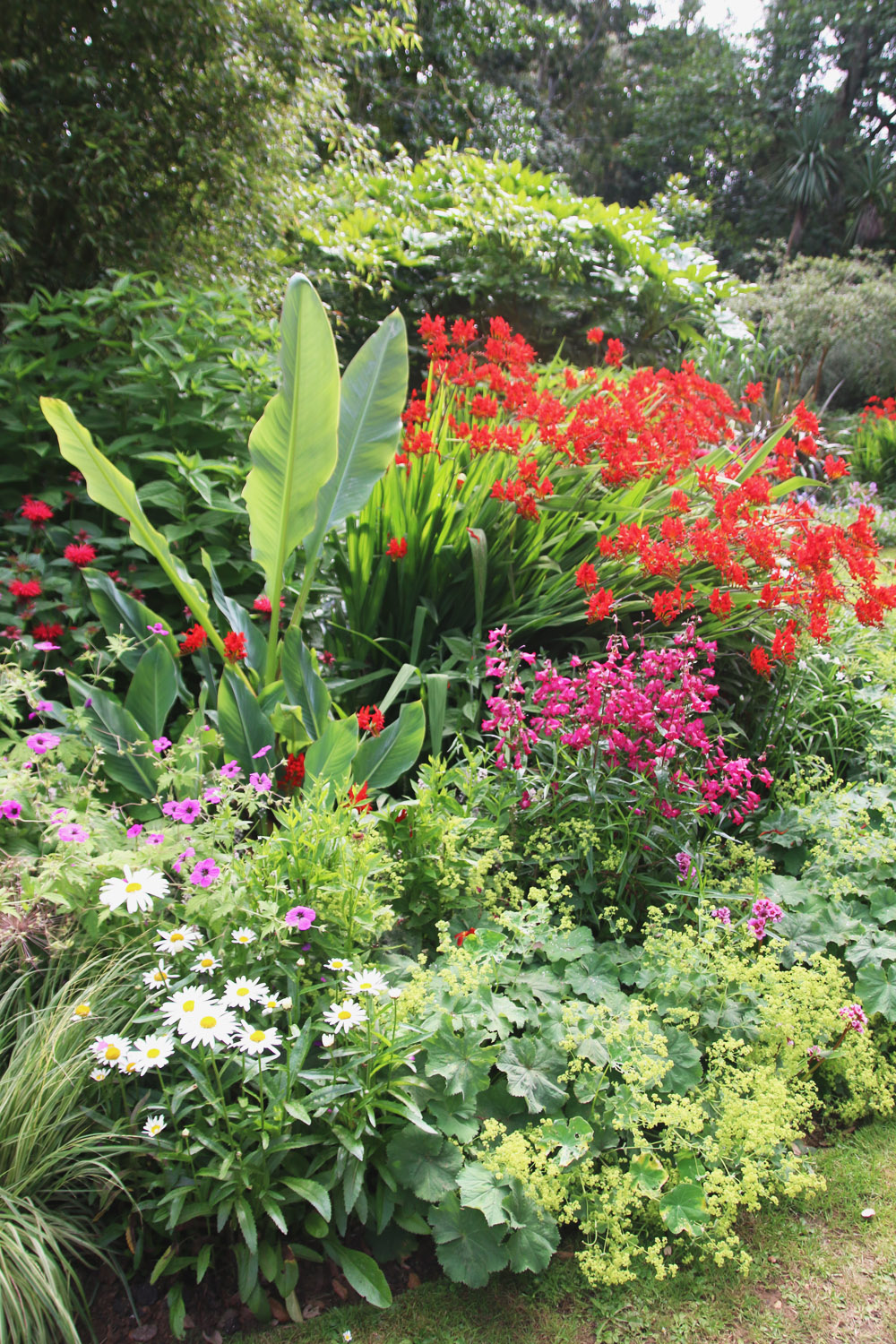 Abbotsbury Subtropical Gardens. Dorset