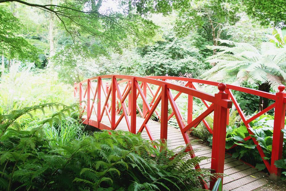 Abbotsbury Subtropical Gardens. Dorset