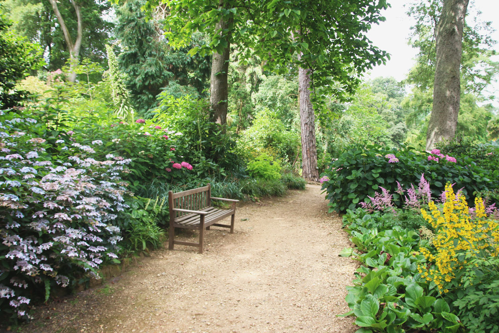 Abbotsbury Subtropical Gardens. Dorset