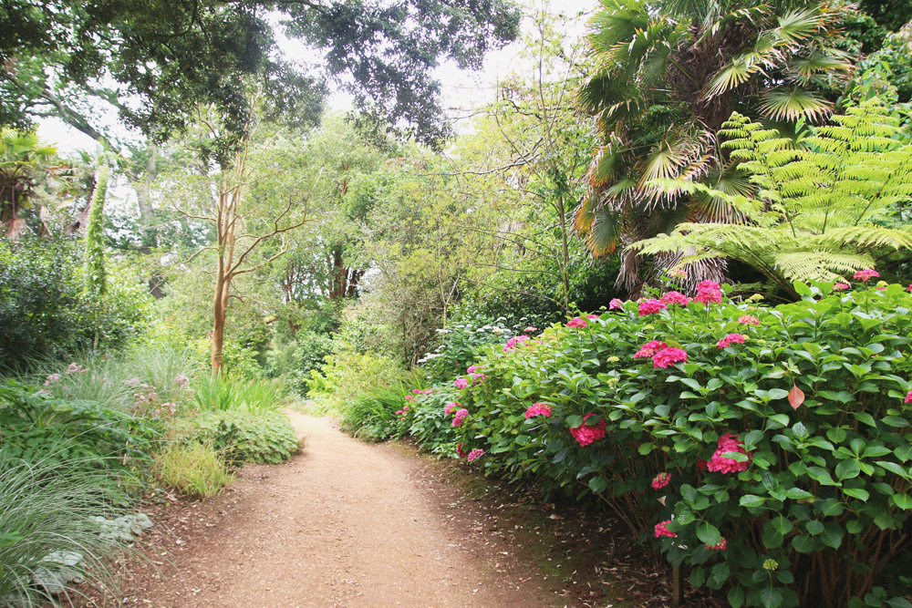 Abbotsbury Subtropical Gardens. Dorset