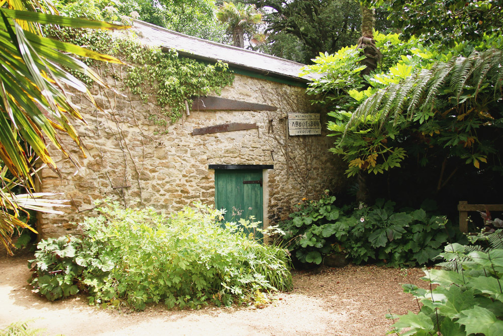 Abbotsbury Subtropical Gardens. Dorset