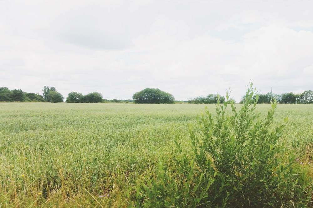 English Countryside