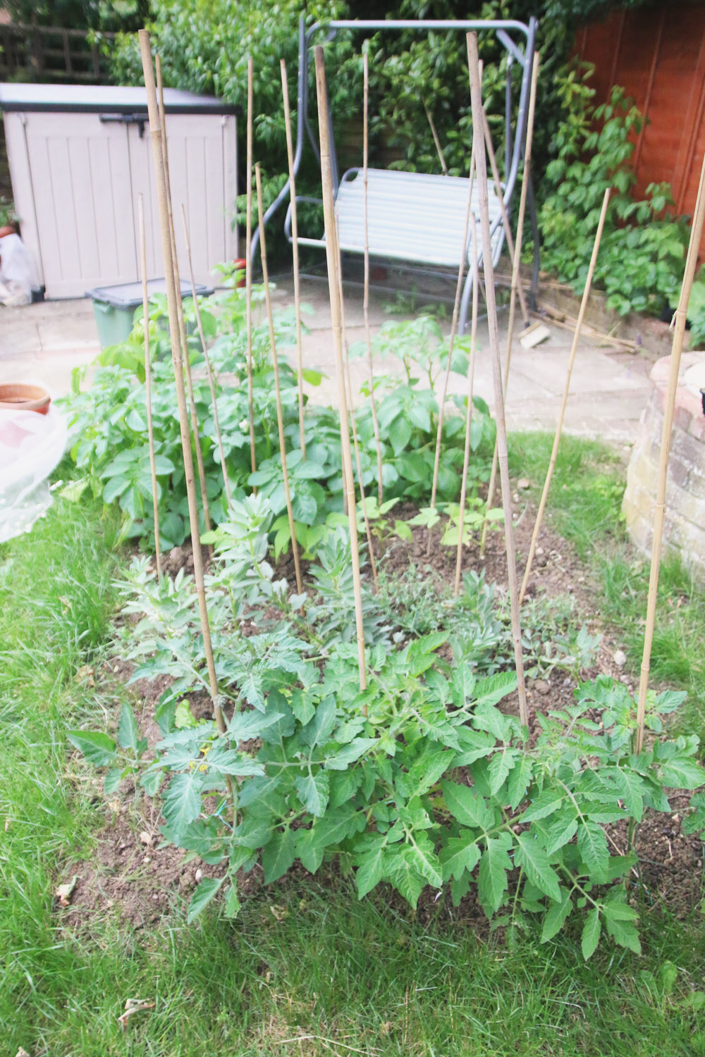 Vegetable Garden 