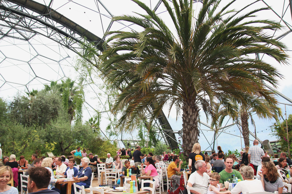 The Mediterranean Biome, The Eden Project