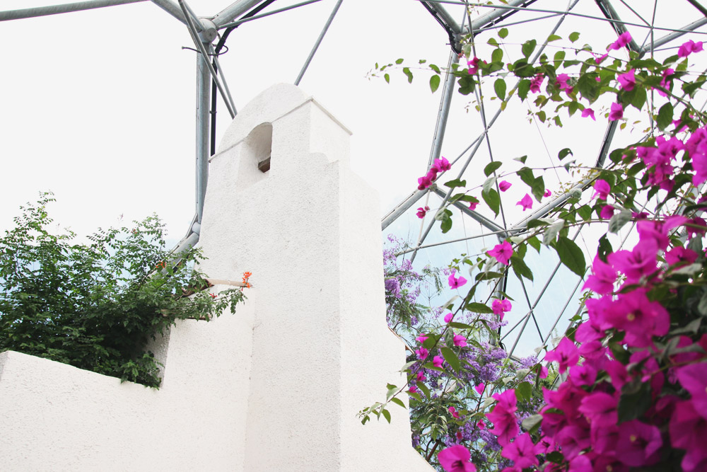 The Mediterranean Biome, The Eden Project