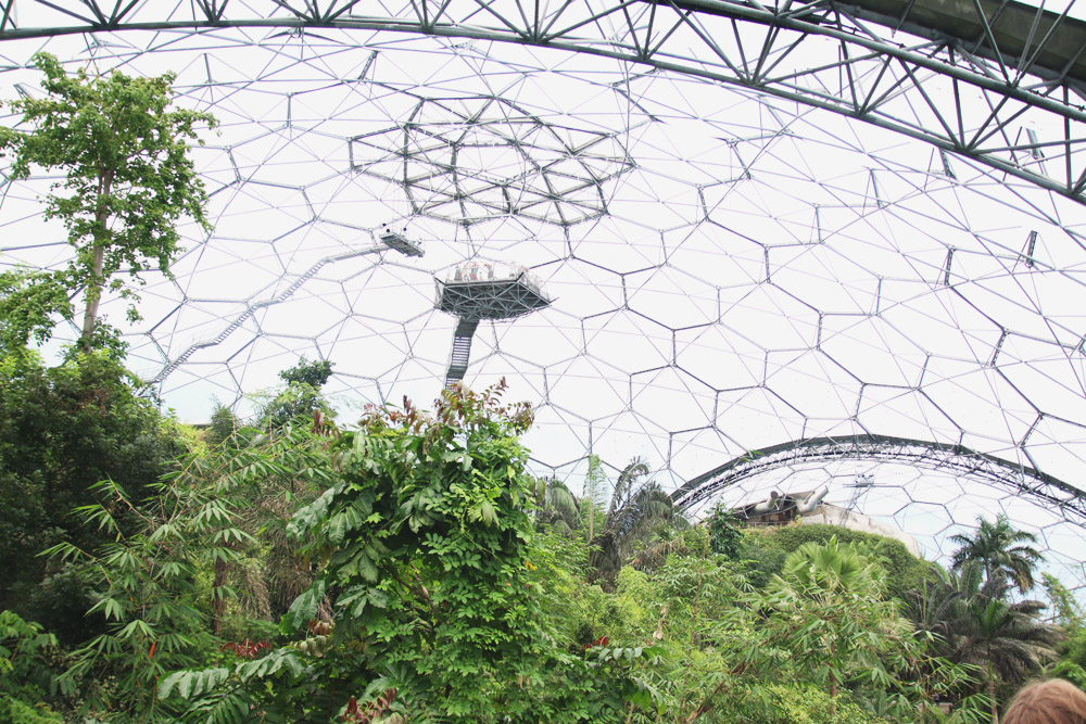 The Rainforest Biome, The Eden Project