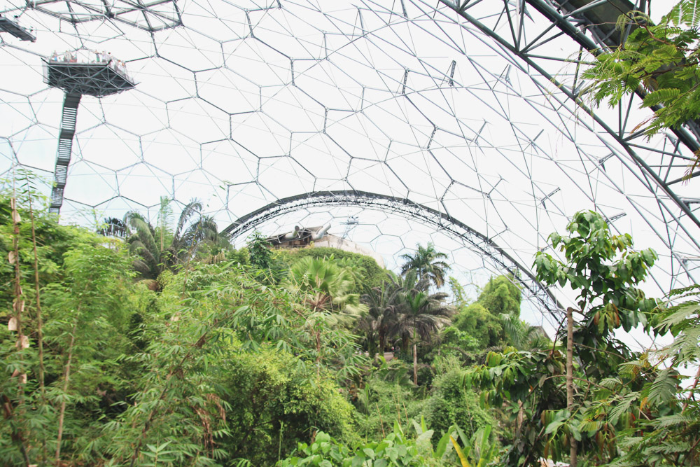 The Rainforest Biome, The Eden Project