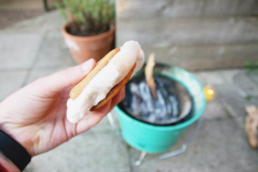 English Digestive Biscuit Smores